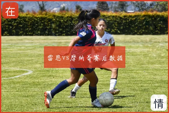 雷恩vs摩纳哥赛后数据