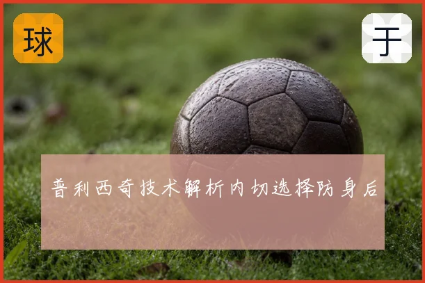 普利西奇技术解析内切选择防身后